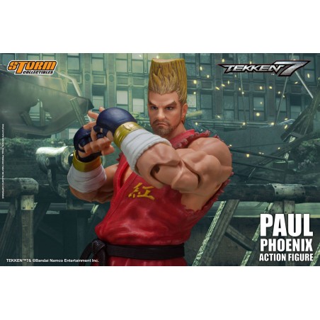 Tekken 7 Paul Phoenix Storm Collectibles 6