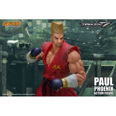 Tekken 7 Paul Phoenix Storm Collectibles 10