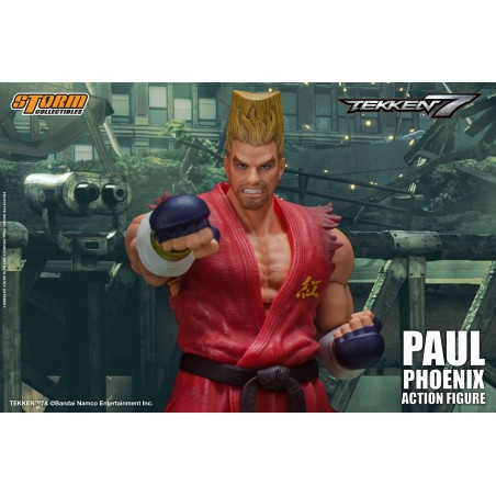 Tekken 7 Paul Phoenix Storm Collectibles 14