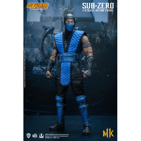 Mortal Kombat Sub- Zero Storm Collectibles