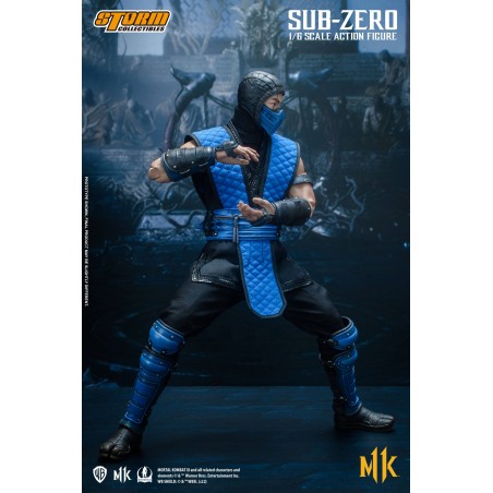 Mortal Kombat Sub- Zero Storm Collectibles 20