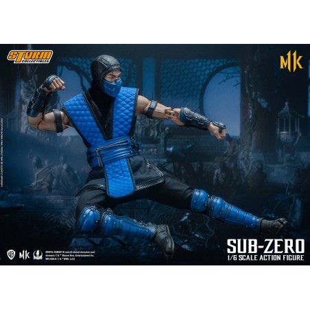Mortal Kombat Sub- Zero Storm Collectibles 11