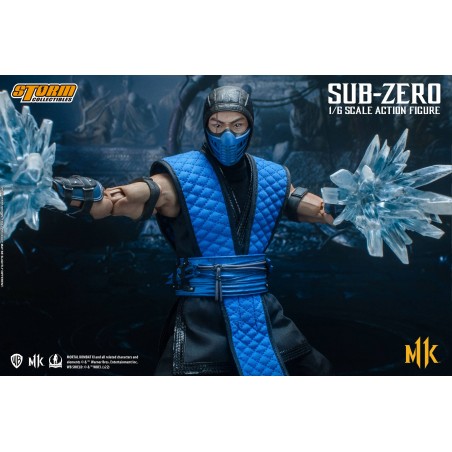 Mortal Kombat Sub- Zero Storm Collectibles 9