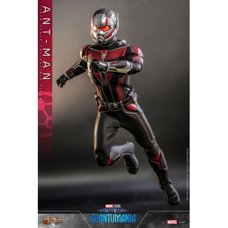 Ant-Man & The Wasp: Quantumania Ant-Man Movie Masterpiece Hot Toys
