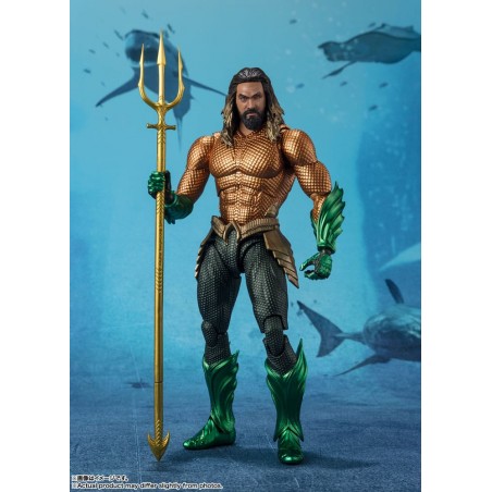 DC Black Aquaman and the Lost Kingdom Aquaman S.H. Figuarts Tamashii Nations