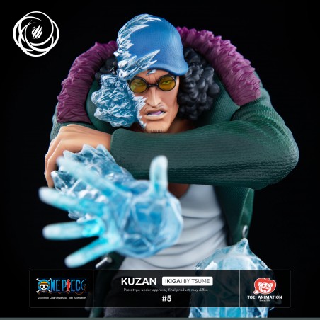 One Piece Kuzan IKIGAI Tsume